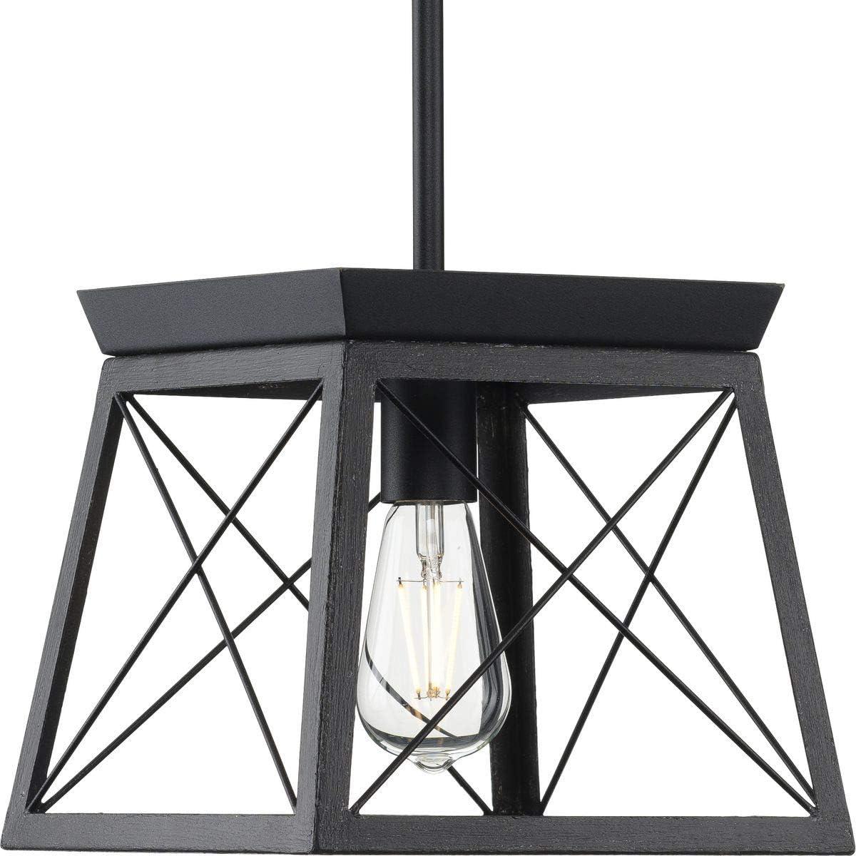 Progress Lighting Briarwood 1-Light Mini-Pendant, Steel, Textured Black, Faux-Painted Wood Enclosure