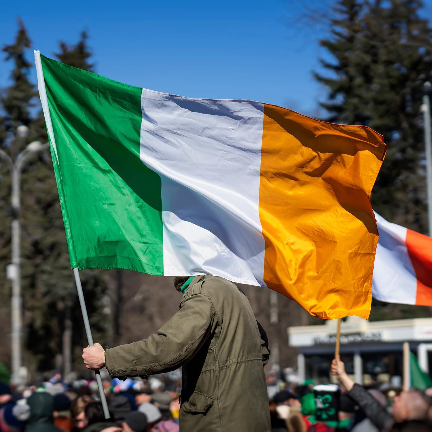 3X5 Ireland Flag 3'x5' Irish FLAG BANNER FAST USA SHIPPER 100D FABRIC