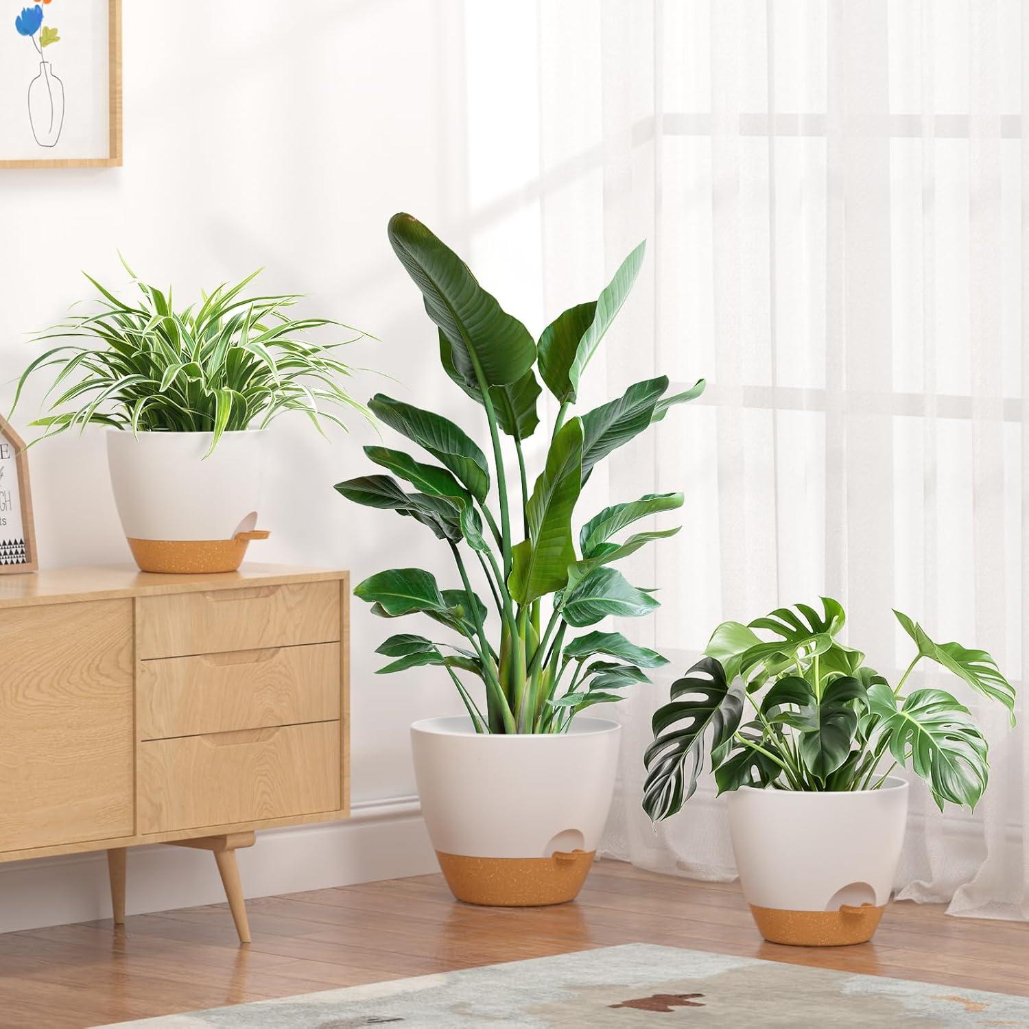 Self Watering Planter Pot 12/10/9 inch Set of 3, Indoor Flower Pots Self Draining Pots for Indoor Plants with Drainage Hole Saucer Reservoir, Plastic Self Watering Plant Pots, White