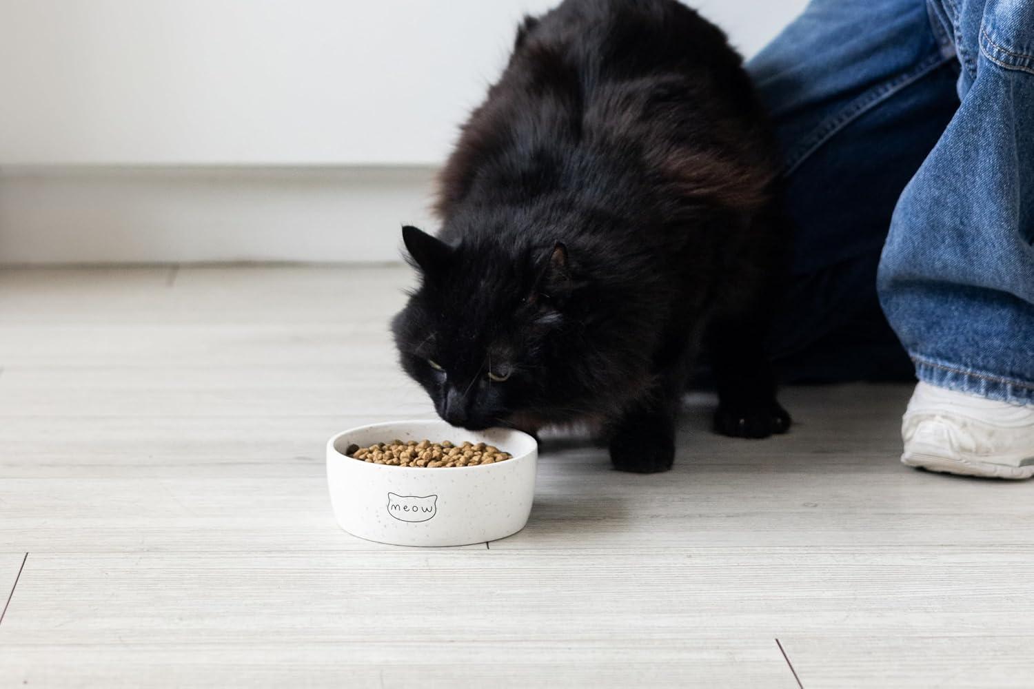 Speckled Ceramic Meow Cat Bowl, 1.3 Cups, Dishwasher Safe