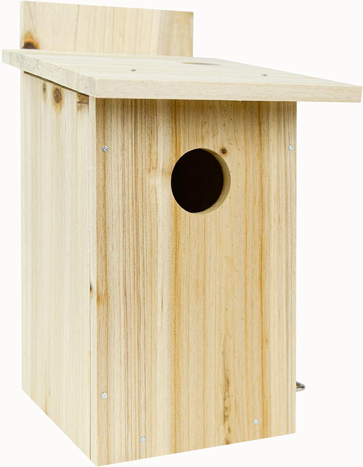 Nature's Way My First DIY Bird House To Paint, Assemble, and Decorate Wood Craft, 10"