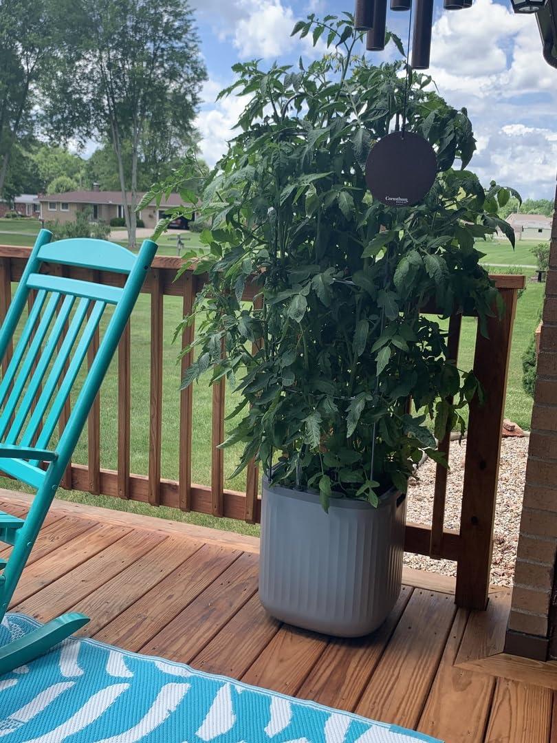 Vego Garden Mini Tomato Plastic Outdoor Pot Planter with Trellis