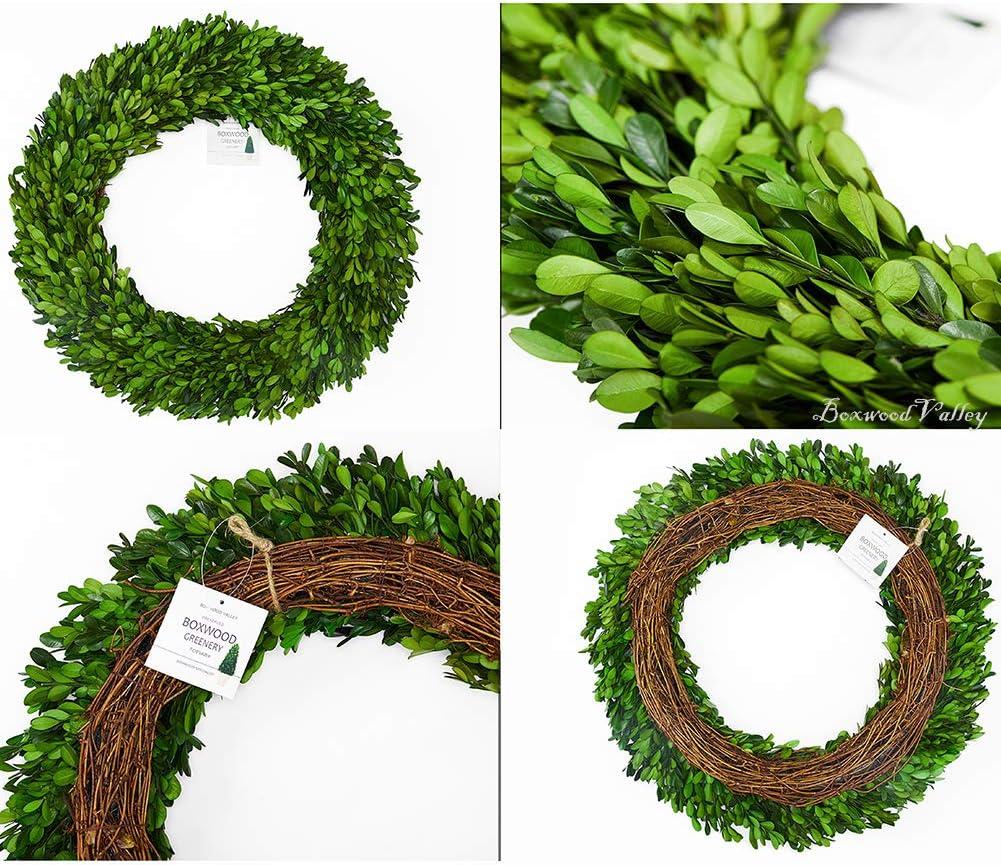 Alby Preserved Boxwood Real Greenery Wreath
