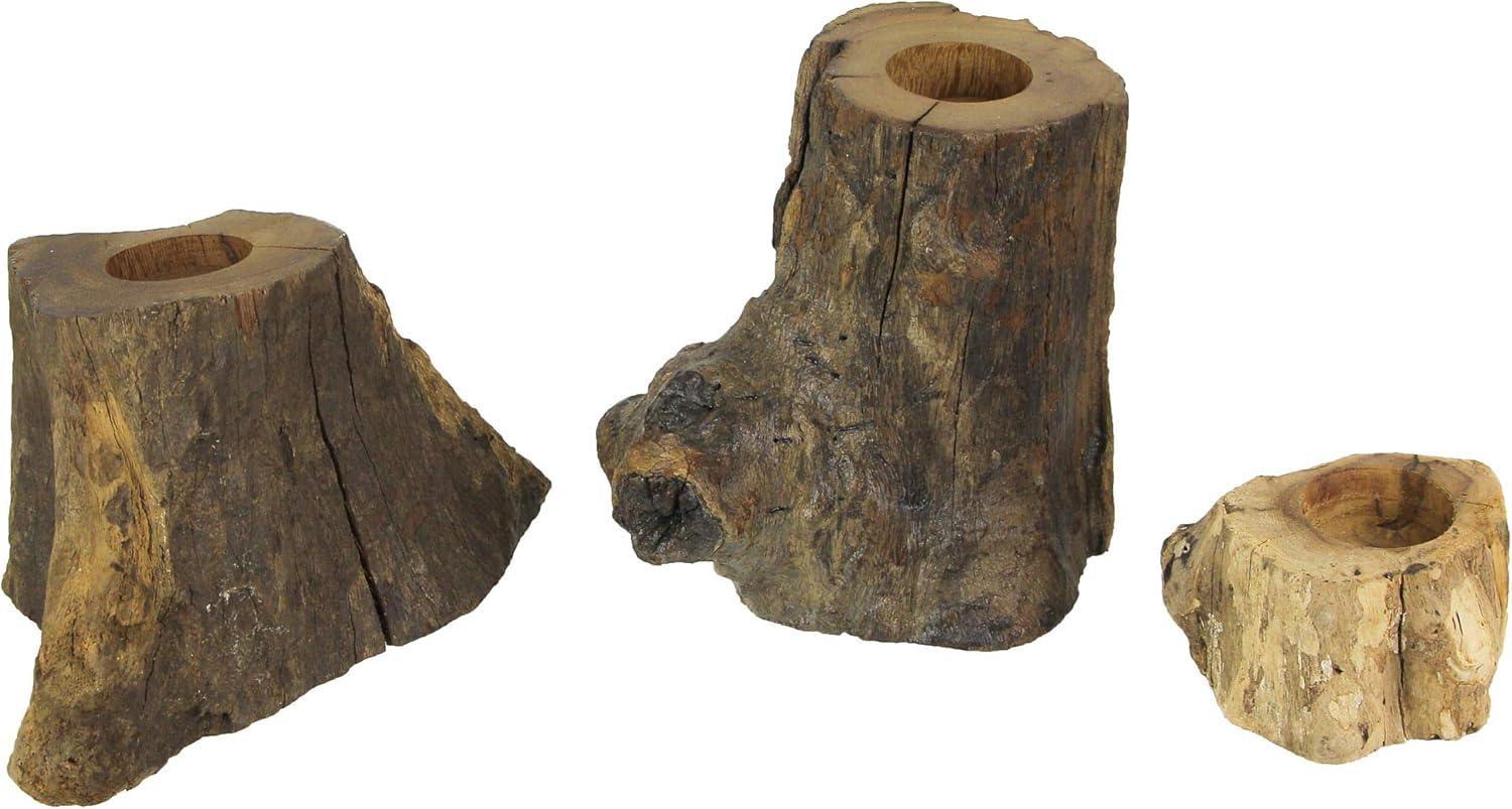 Things2Die4 Set of 3 Natural Gamal Branch Wood Single Tealight Candle Holders