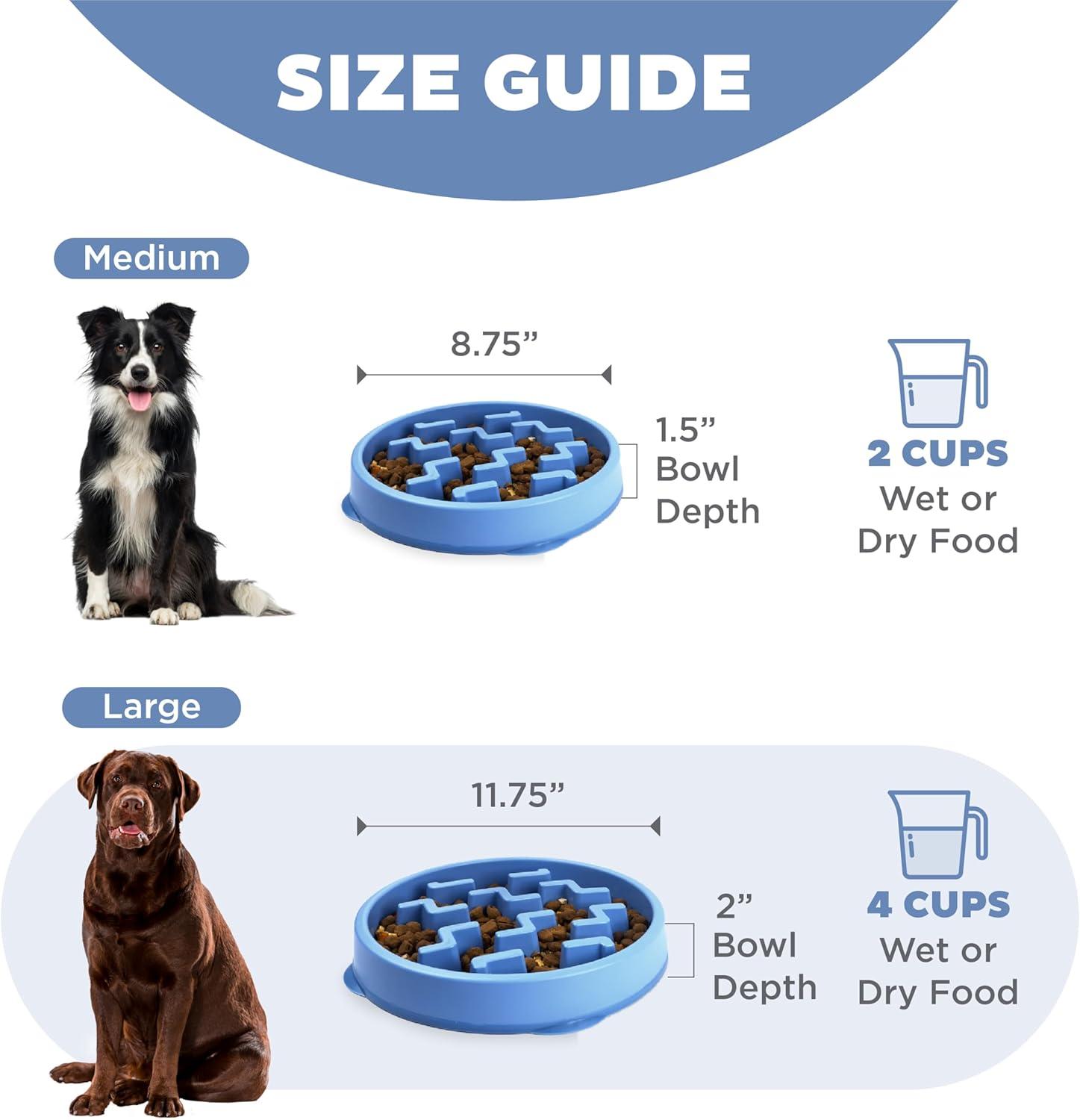 Outward Hound Outward Hound Fun Feeder Slow Bowl, Slow Feeder Dog Bowl, Blue