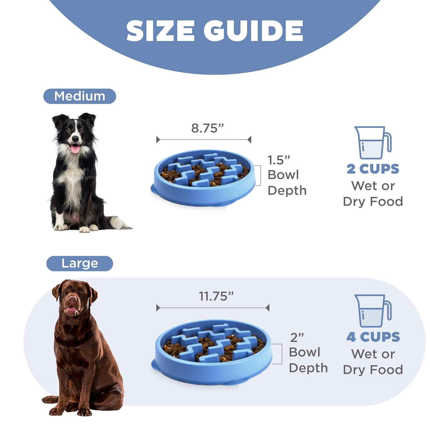 Outward Hound Outward Hound Fun Feeder Slow Bowl, Slow Feeder Dog Bowl, Blue