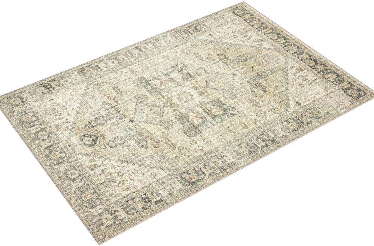 Loloi II Skye SKY-13 Natural / Sand Oriental Area Rug 2'-6" x 7'-6"