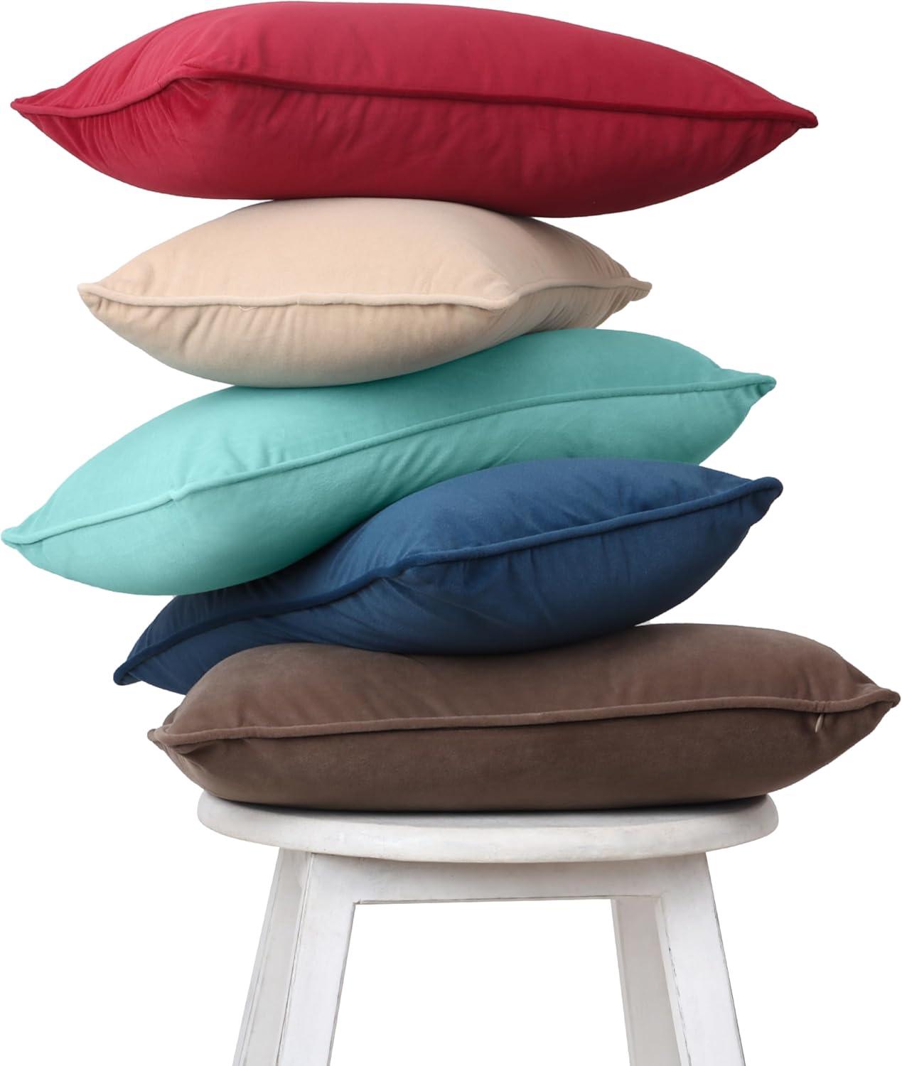 A1 Home Collections LLC Velvet Pillow Cover (Set of 2)