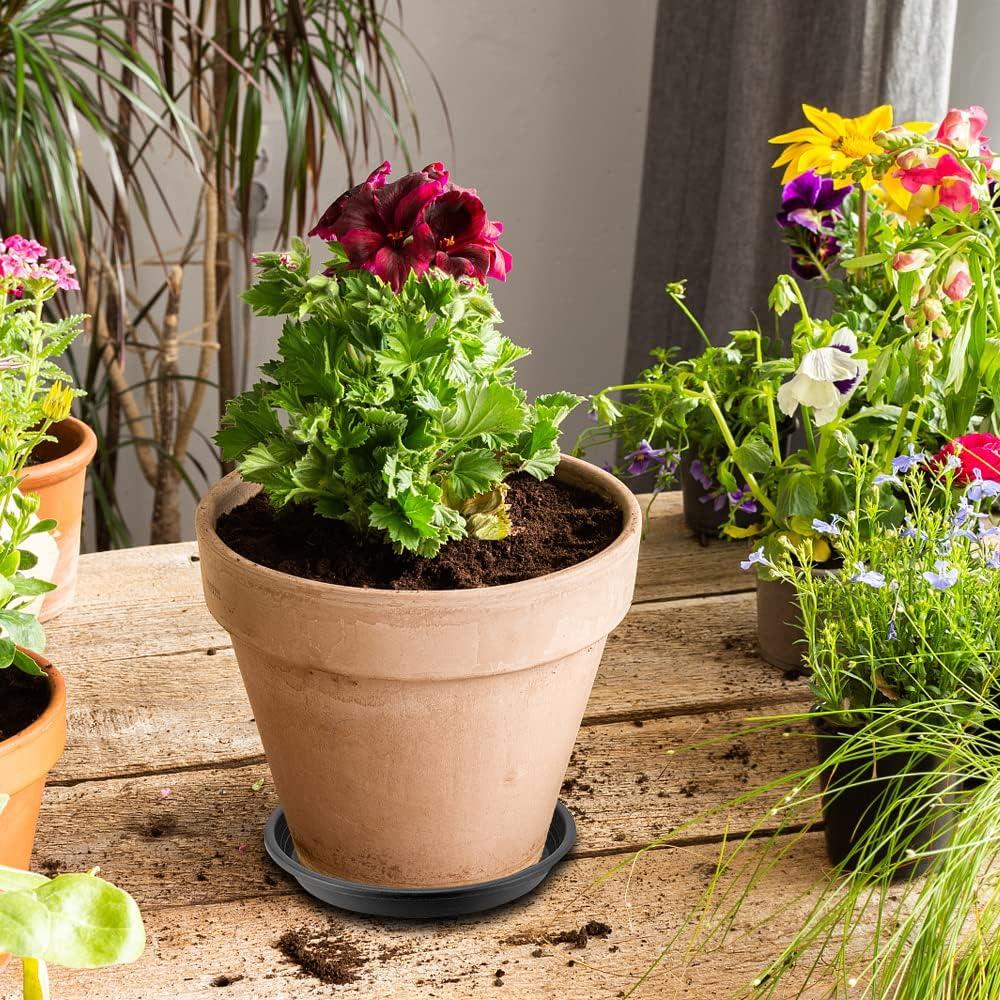 Tripumer 12Pack Plant Saucers 6inch/8inch/10inch Black Plant Saucers Plastic Planter Trays Round Trays Heavy Duty Drip Trays Perfect for Indoor and Outdoor Plants