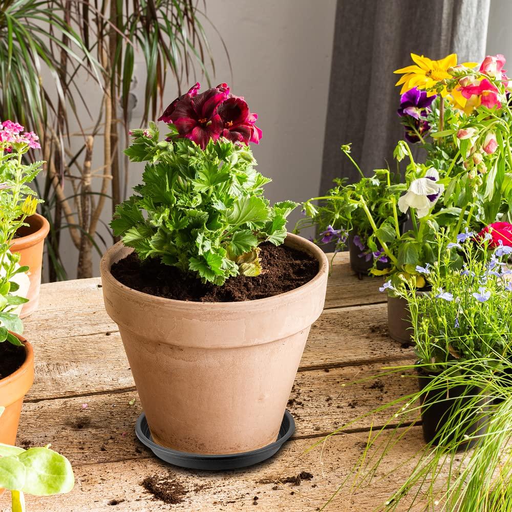 Tripumer 12Pack Plant Saucers 6inch/8inch/10inch Black Plant Saucers Plastic Planter Trays Round Trays Heavy Duty Drip Trays Perfect for Indoor and Outdoor Plants