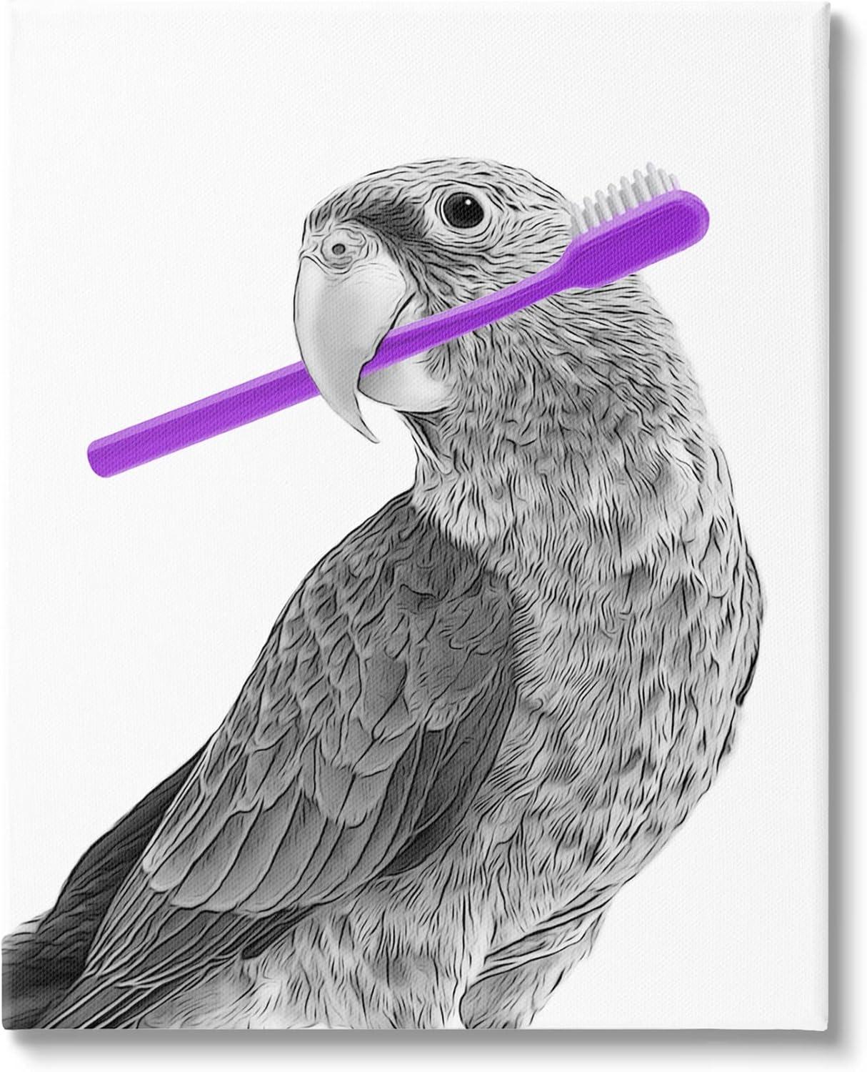 Stupell Industries Aw-316-Canvas " Parrot With Toothbrush Funny Bird " by Annalisa Latella