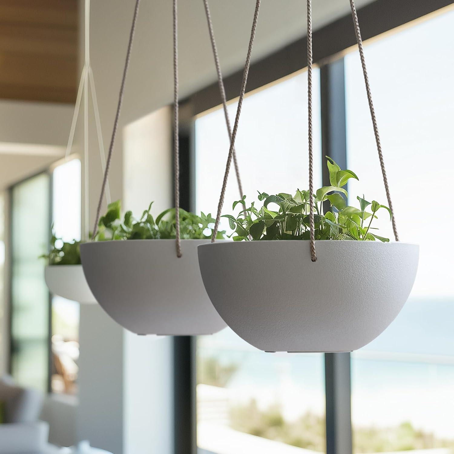 Boxdale Hanging Planter - Set of 2 (Set of 2)