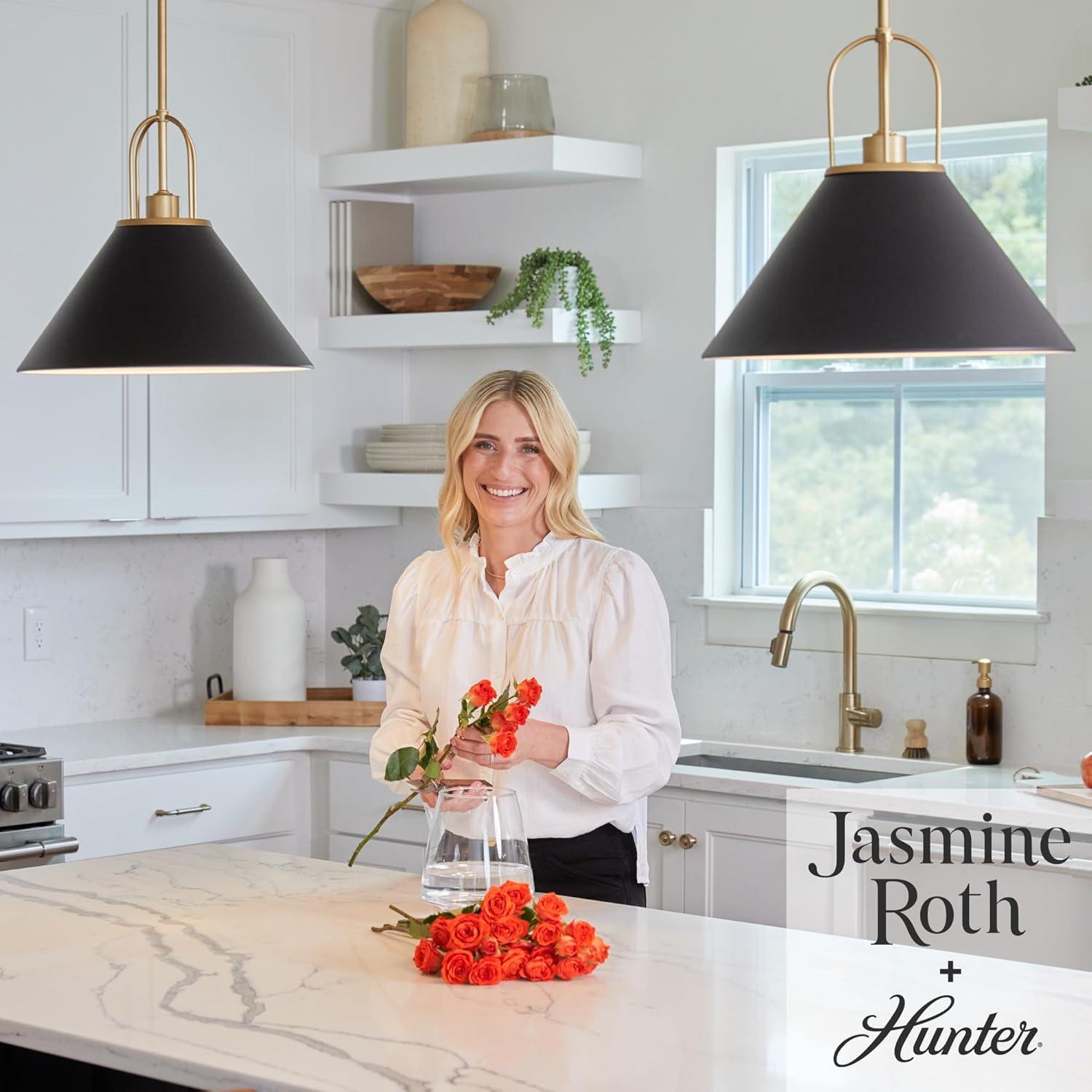 Jasmine Roth Collection + Hunter Jasmine Roth 1 - Light Flat Matte Black Cone Pendant