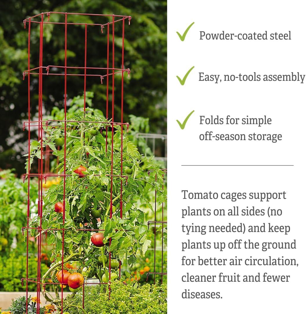 Gardener's Supply Company Single Steel Tomato Cage 32 Inch High - Red