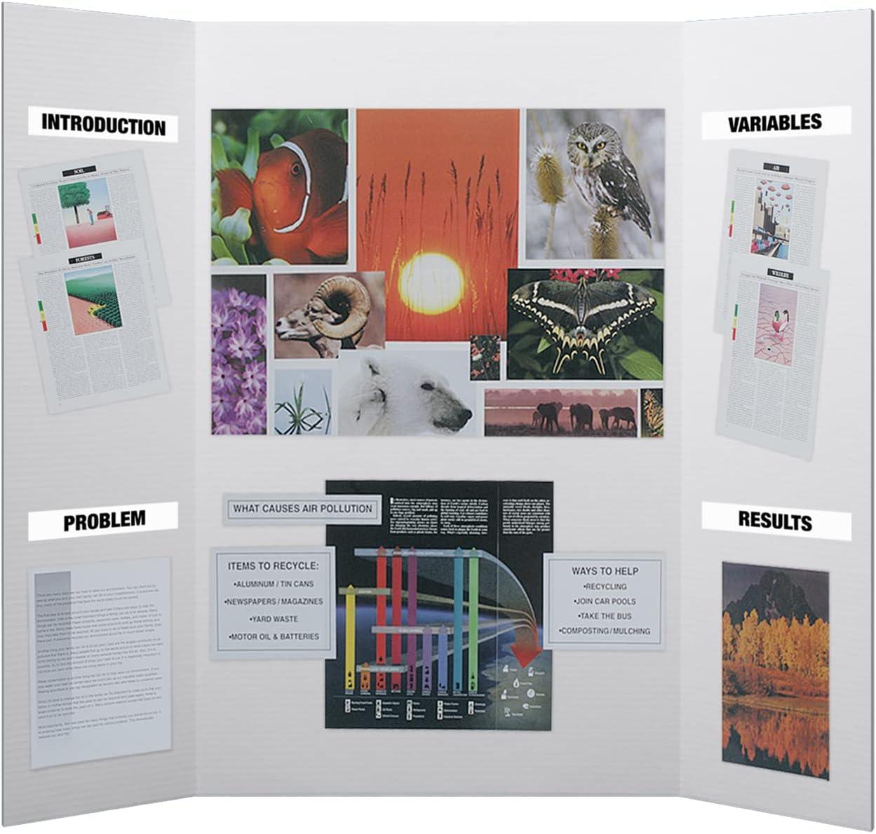 Flipside Products Flipside Products Freestanding Booth Display (Set of 10)