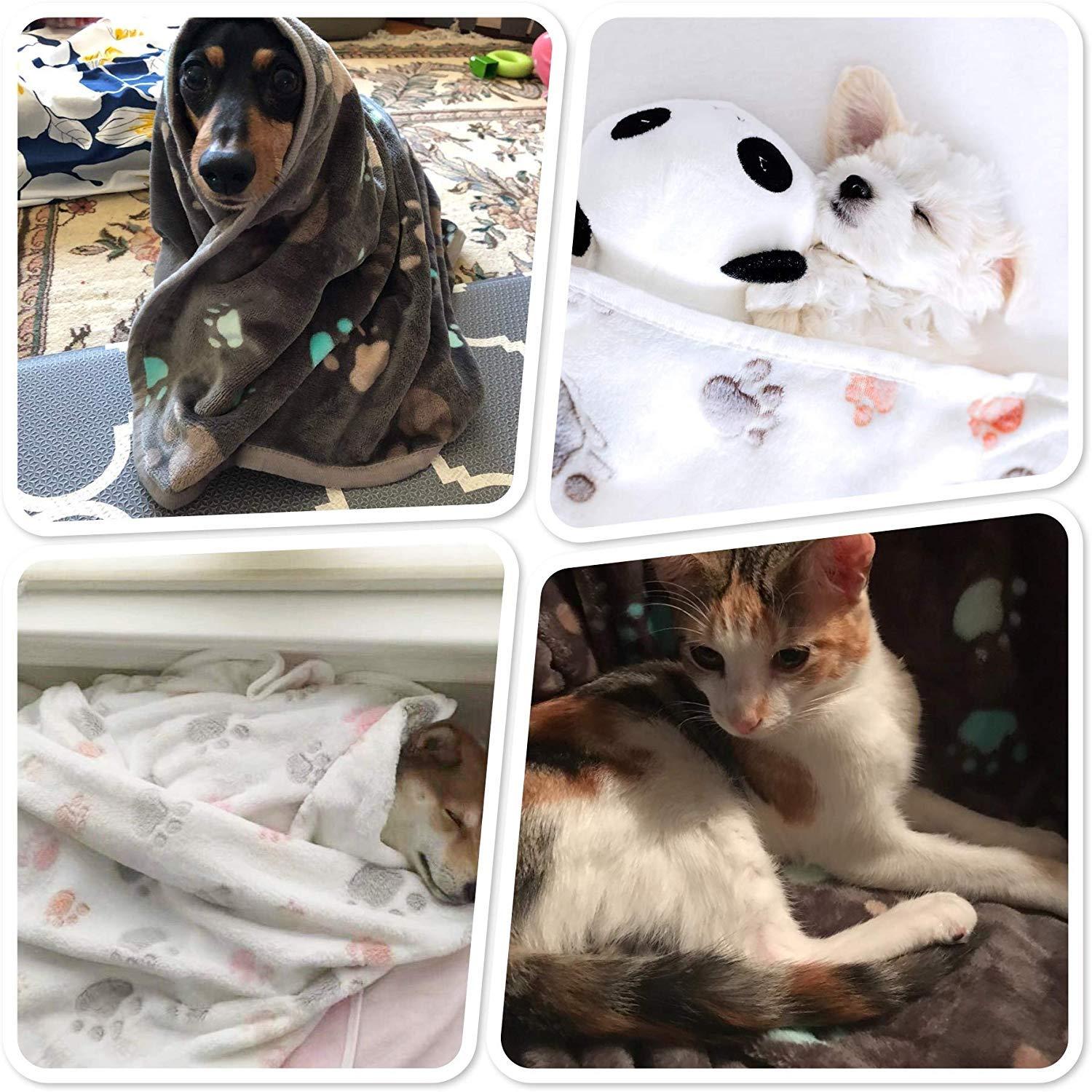 Allisandro Animal Print Outdoor Pet Blanket