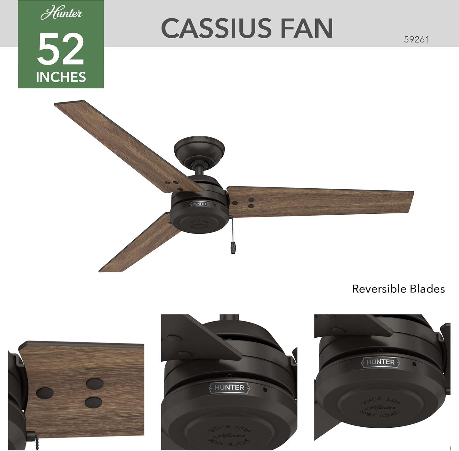 52" Cassius 3 - Blade Outdoor Standard Ceiling Fan with Pull Chain