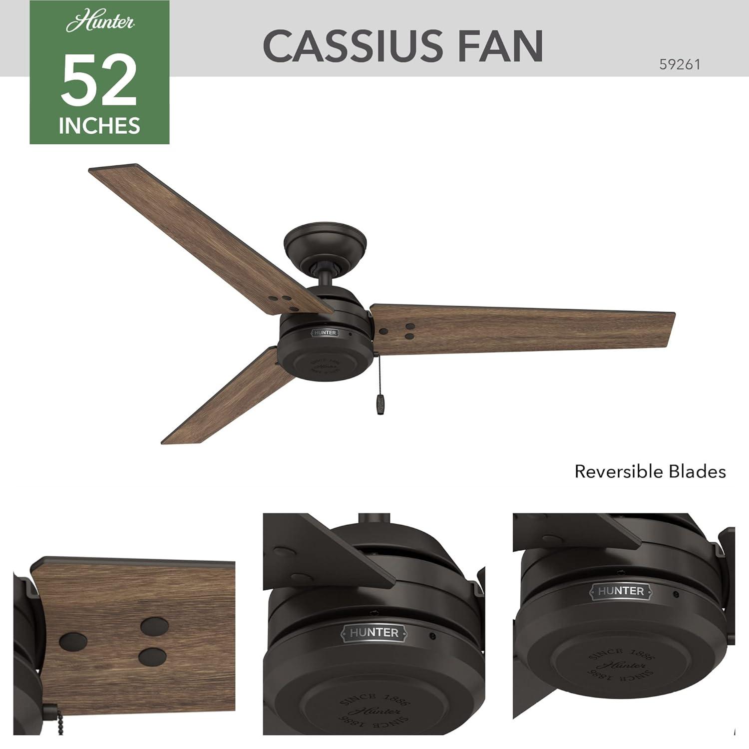 52" Cassius 3 - Blade Outdoor Standard Ceiling Fan with Pull Chain