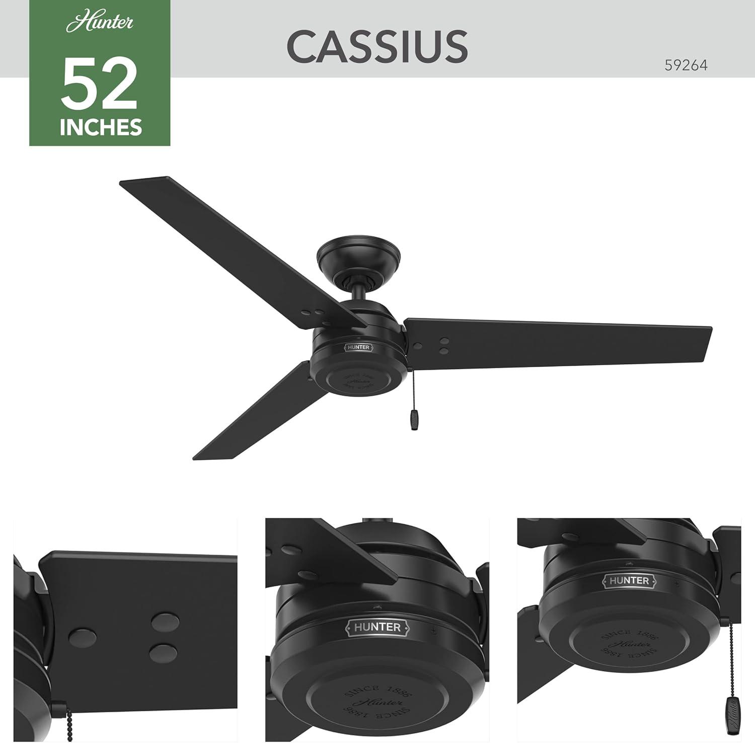 52" Cassius 3 - Blade Outdoor Standard Ceiling Fan with Pull Chain