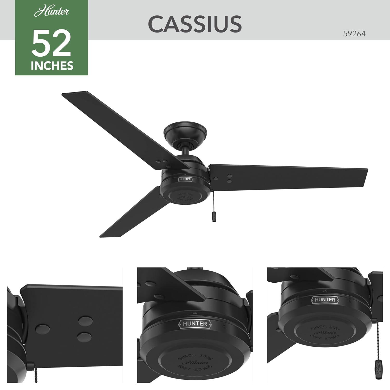 52" Cassius 3 - Blade Outdoor Standard Ceiling Fan with Pull Chain
