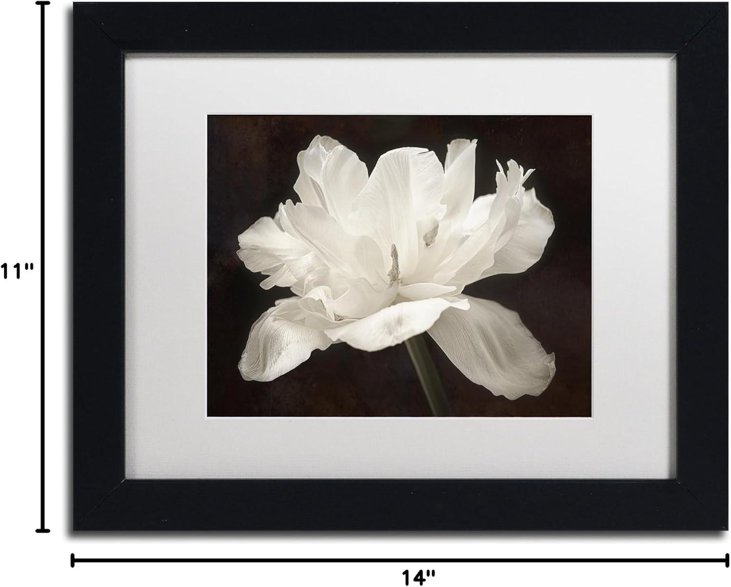 Trademark Fine Art - Cora Niele 'White Tulip I' Matted Framed Art