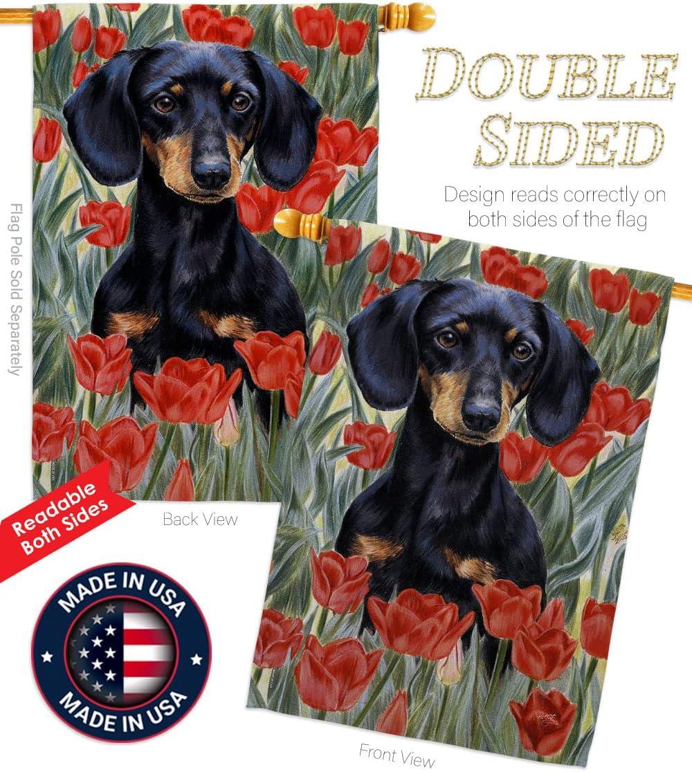 Breeze Decor Double Sided 40.00'' H x 28.00'' W Polyester Flag Set