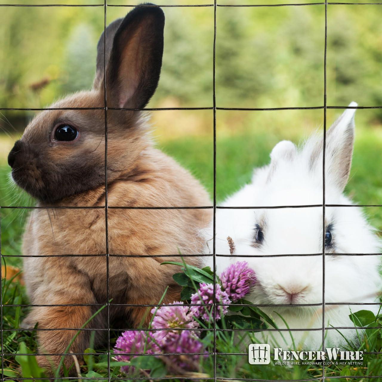 Fencer Wire Fencer Wire Vinyl Coated 16 Gauge Rabbit Guard Fence, Poultry Outdoor Fencing Barrier Wire Roll
