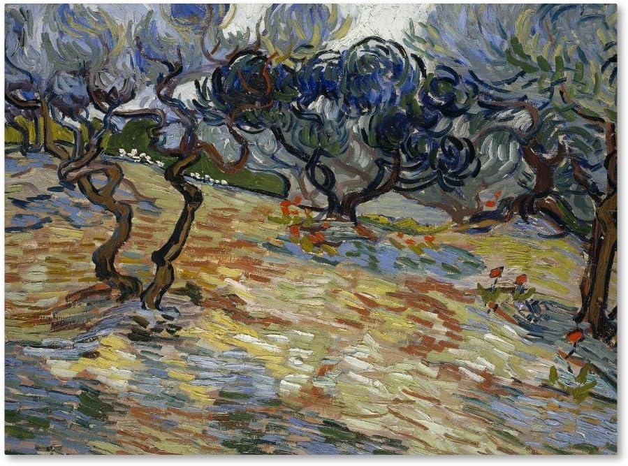 Vincent Van Gogh Olive Trees Landscape Canvas Print