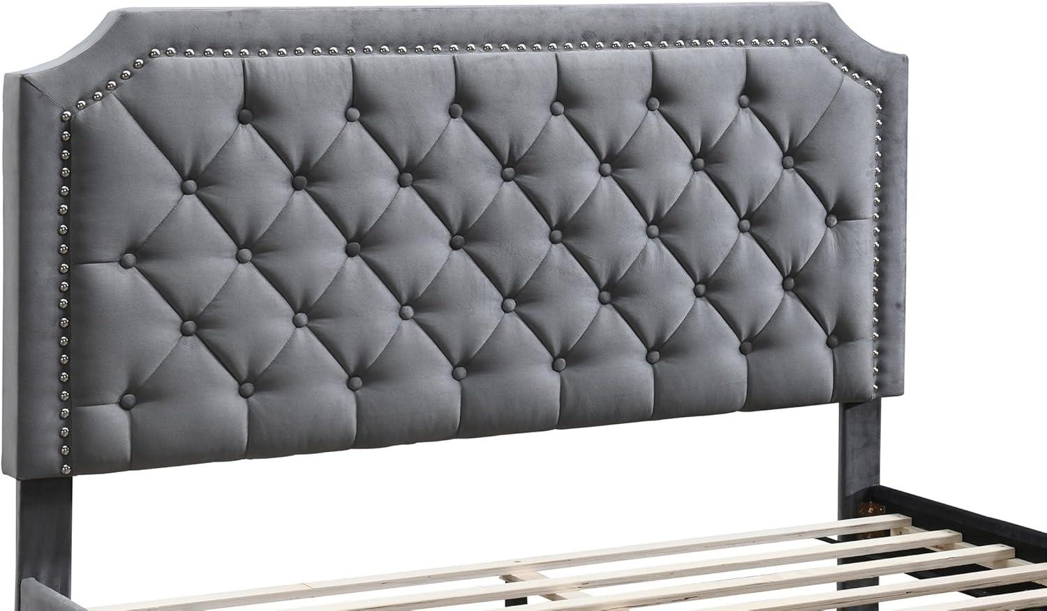 Ava Charcoal Velvet Tufted Queen Bed with Nailhead Trim