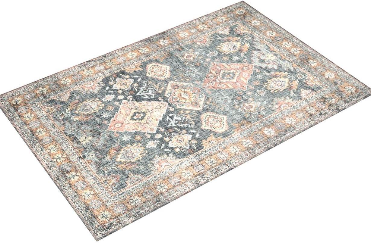 Loloi II Skye Oriental Sea / Rust Area Rug