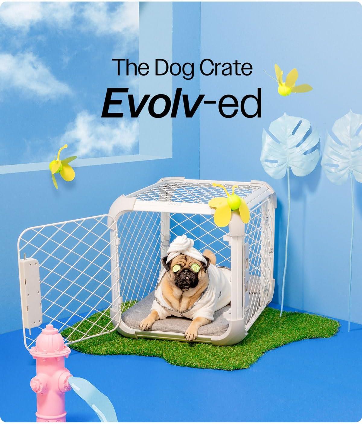 DIGGS 24" Evolv Dog Crate - Safe, Durable Kennel with Removable Ceiling Panel and Modular - Ash