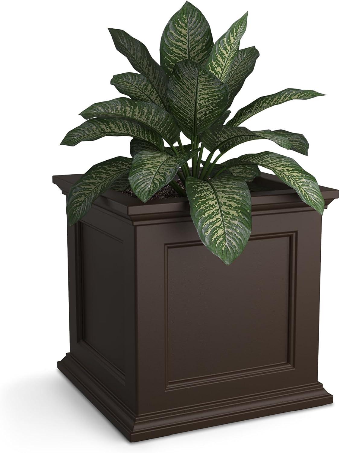 Mayne Fairfield 20" x 20" x 20" Square Espresso Self-Watering Polyethylene Planter