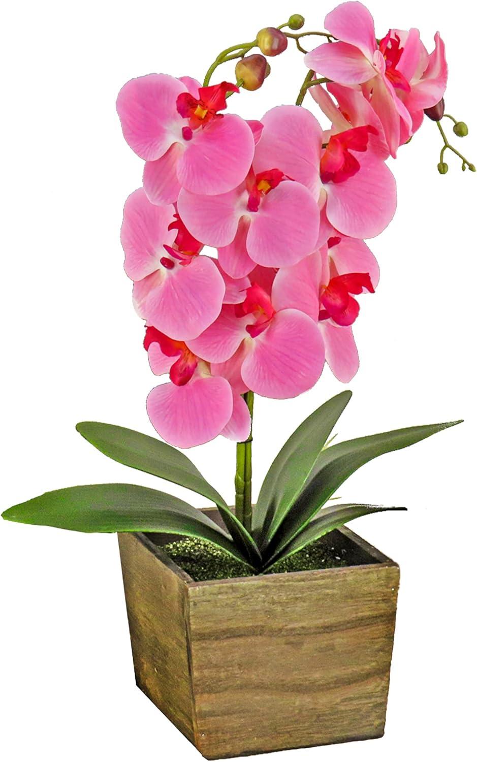 21" Pink Orchid in Rustic Wood Box