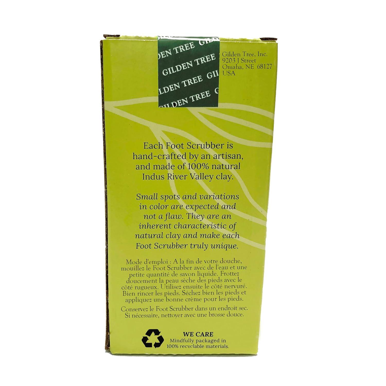 Gilden Tree Foot File, Lasts 5+ Years, Callus Remover Pumice Stone Scrubber for Feet