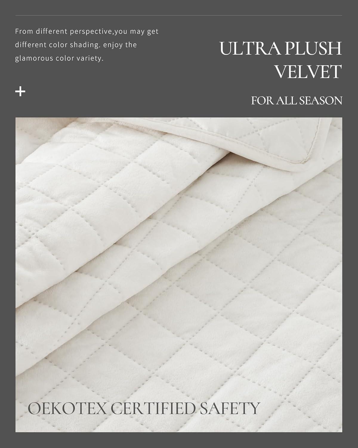 Royal Velvet Diamond Velvet Quilt Set