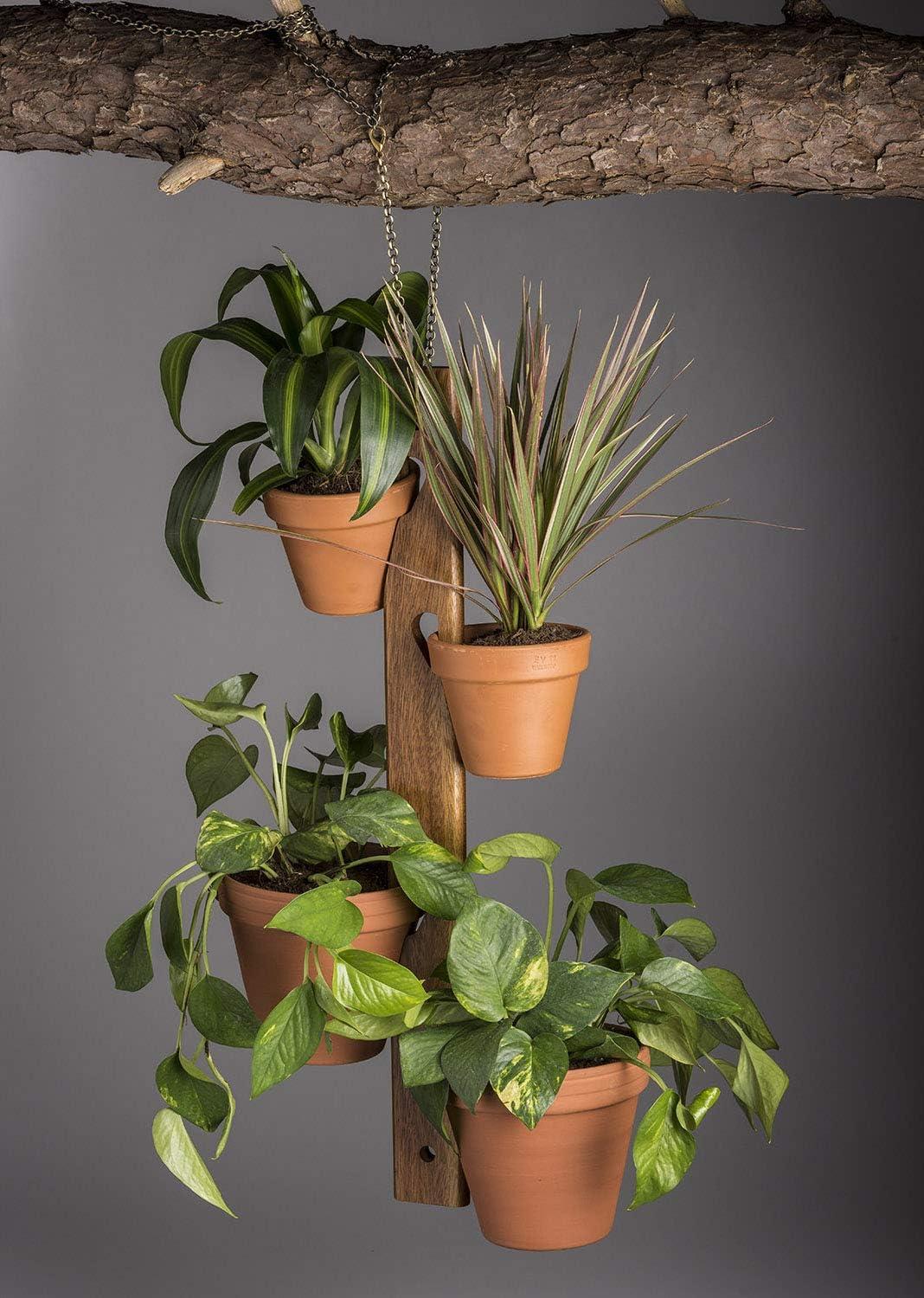 Kalmar Home Solid Acacia wood 4 Pot Hanging Plant Holder with chain