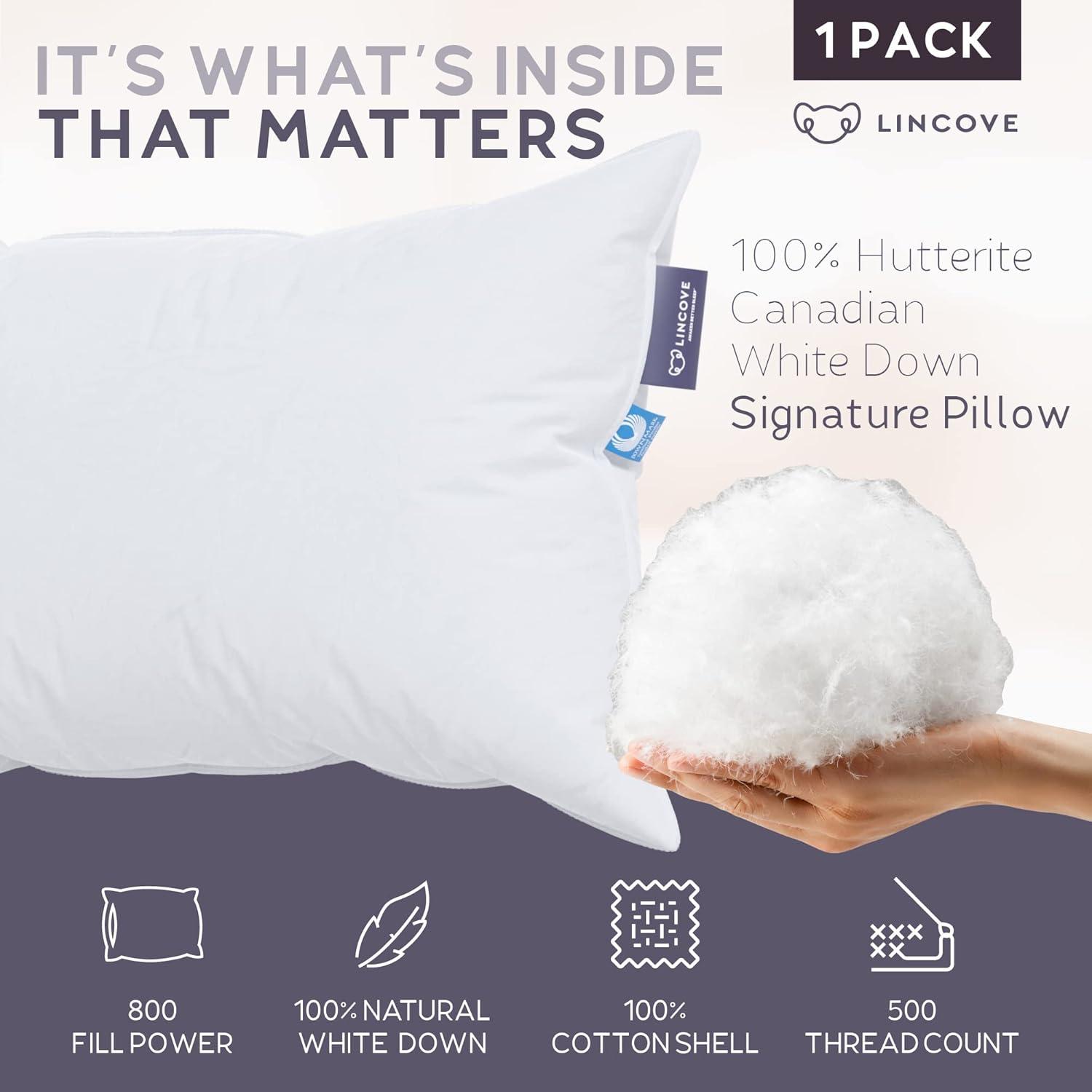 Lincove Signature 100% Canadian Down Luxury Sleeping Pillow - 800 Fill Power, 500 Thread Count Cotton Shell, 1 Pack