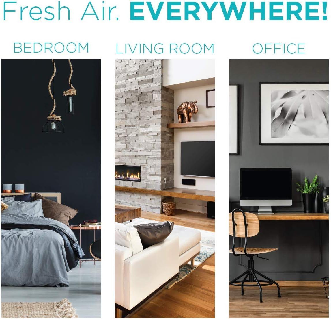 BLACK+DECKER BLACK+DECKER Tabletop Air Purifier - 3-Stage Filtration System, HEPA Air Purifiers for Home