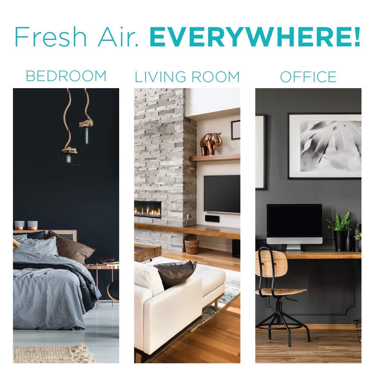 BLACK+DECKER BLACK+DECKER Tabletop Air Purifier - 3-Stage Filtration System, HEPA Air Purifiers for Home