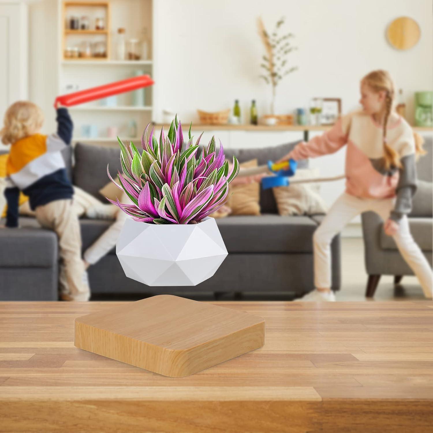 Levitating Air Bonsai Pot, Rotation Flower Pot Planters, Magnetic Levitation Suspension Floating Pot, Potted Plant Home Desk Decor in Flower Pots & Planters from Home & Garden on (Light Color) C49