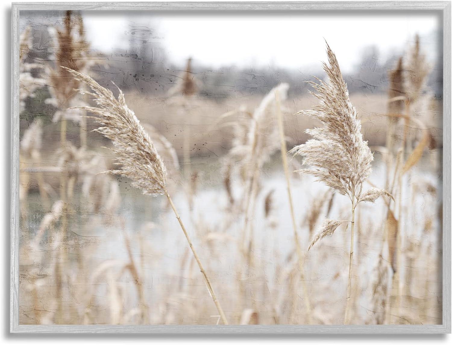 " Rural Pampas Grass Reeds Lakeside Pond Marsh " by Kim Allen