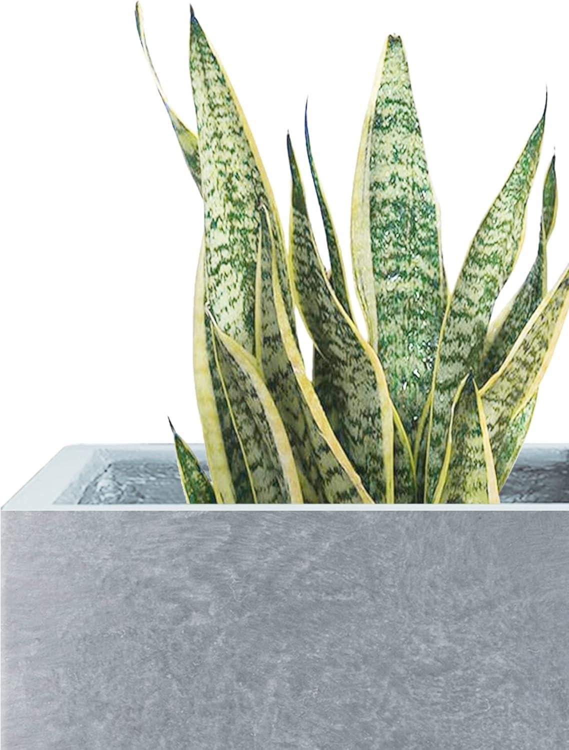 Slate Gray Tall Rectangular Lightweight Concrete Planter