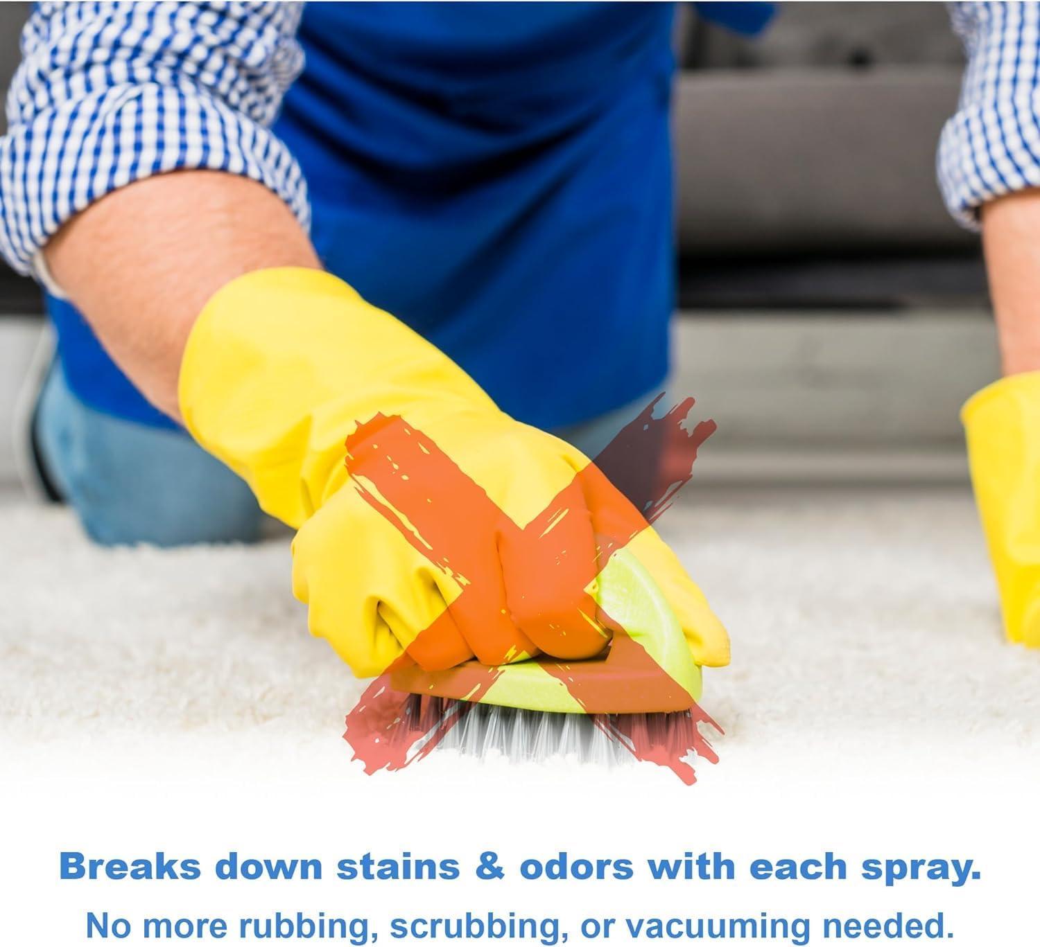 Spot Shot 009716 Instant Non Toxic Carpet Stain and Odor Eliminator, 14 Ounces