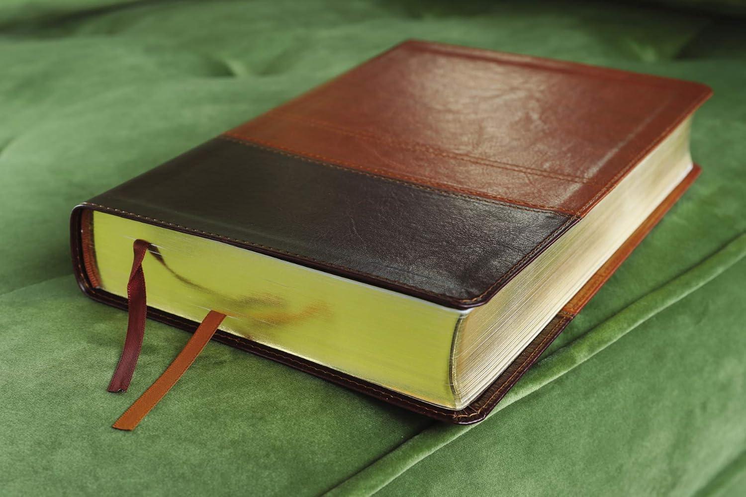 NIV, Reference Bible, Giant Print, Imitation Leather, Brown, Red Letter Edition, Comfort Print - Large Print by  Zondervan (Leather Bound)