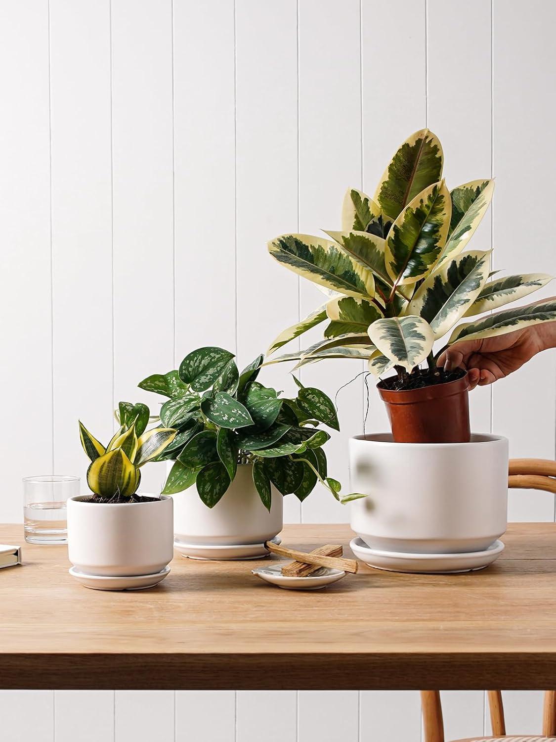 Set Of 3 Modern Ceramic Planter Pots With Drainage - Stylish Indoor/Outdoor Decor