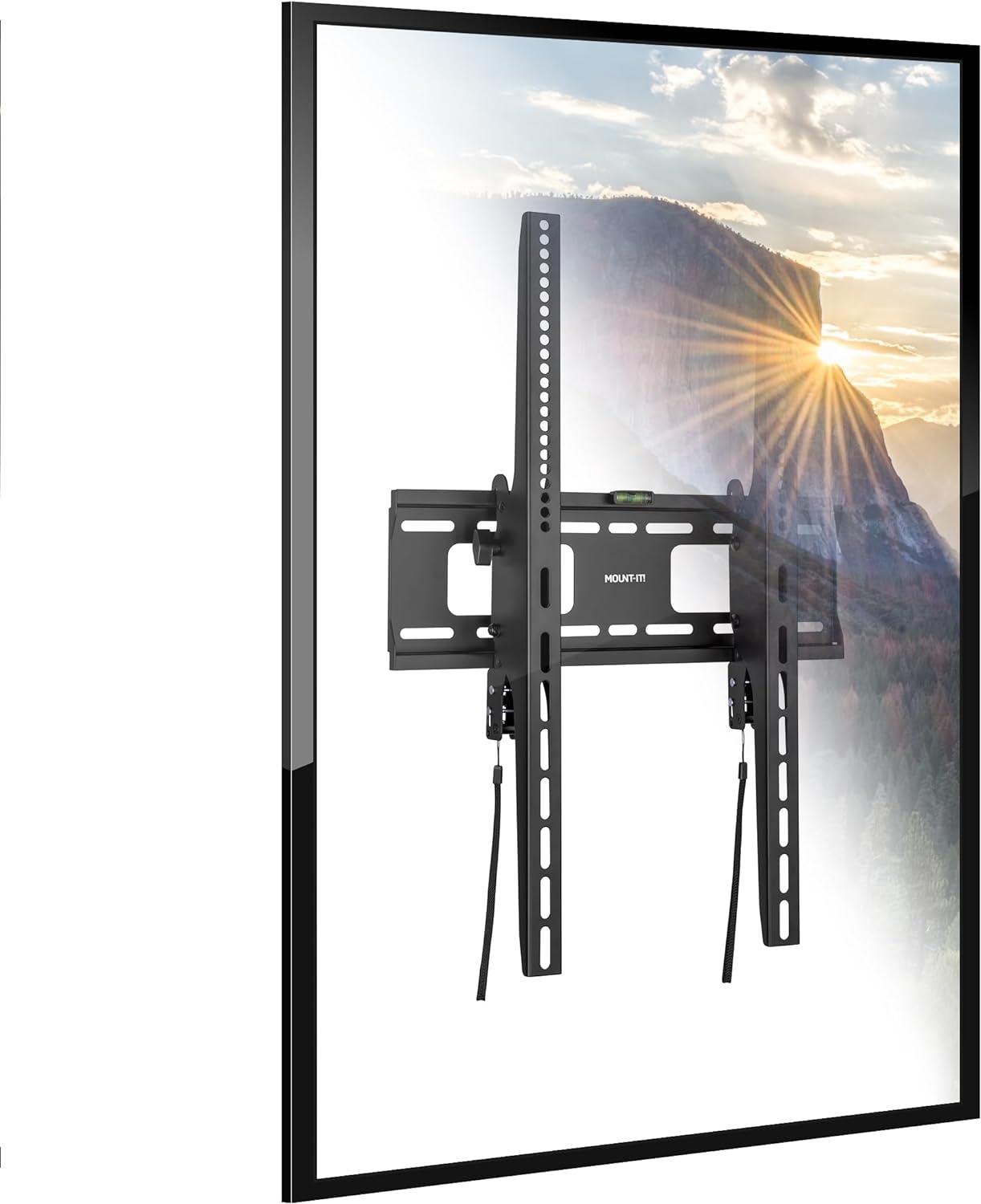 Mount-it Single Screen Wall Mount