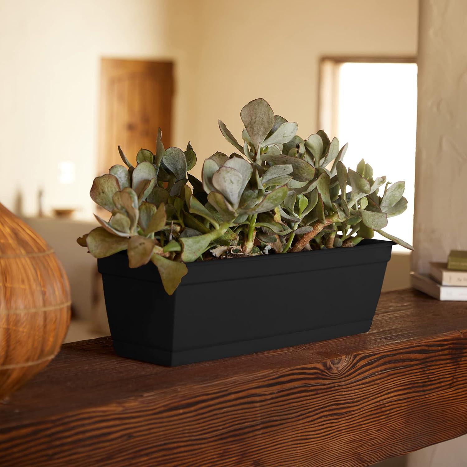 Bloem 30-in Wide Dura Cotta Resin Window Box Planter - Black