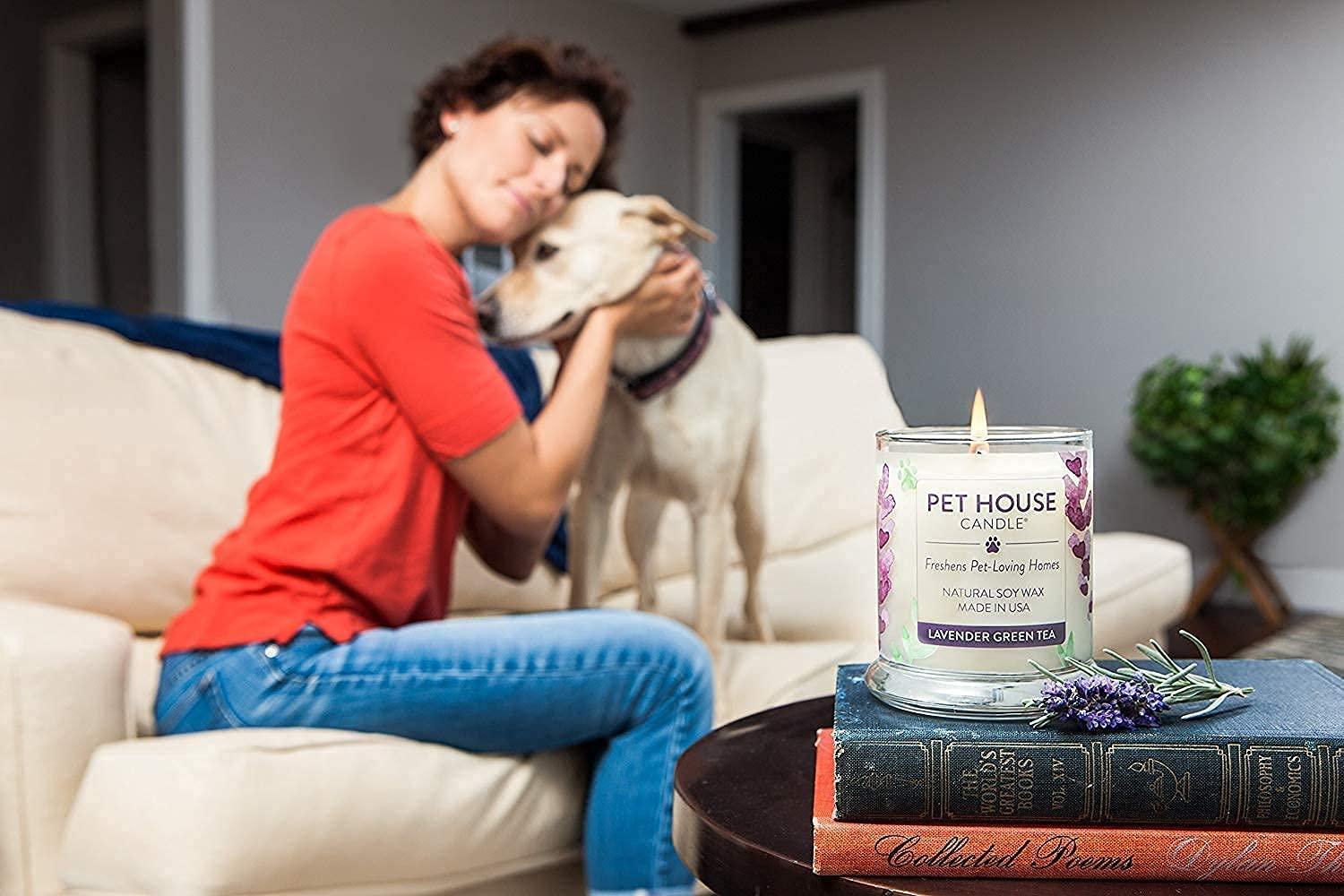 One Fur All Pet House Candle - Fresh Citrus Pack of 2-100% Plant-Based Wax Candle - Pet Odor Eliminator for Home - Non-Toxic & Eco-Friendly Air Freshening Scented Candles