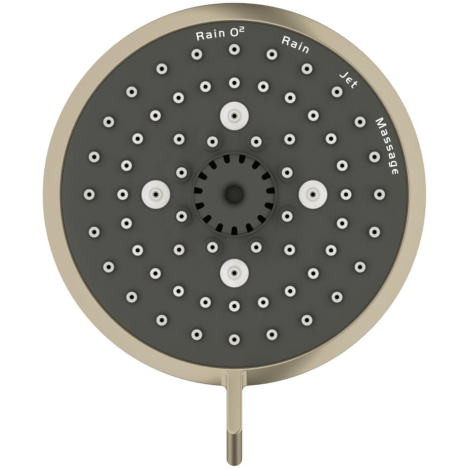 Tempesta Fixed 4-Setting Shower Head Rain O2 Rain Massage Jet Settings