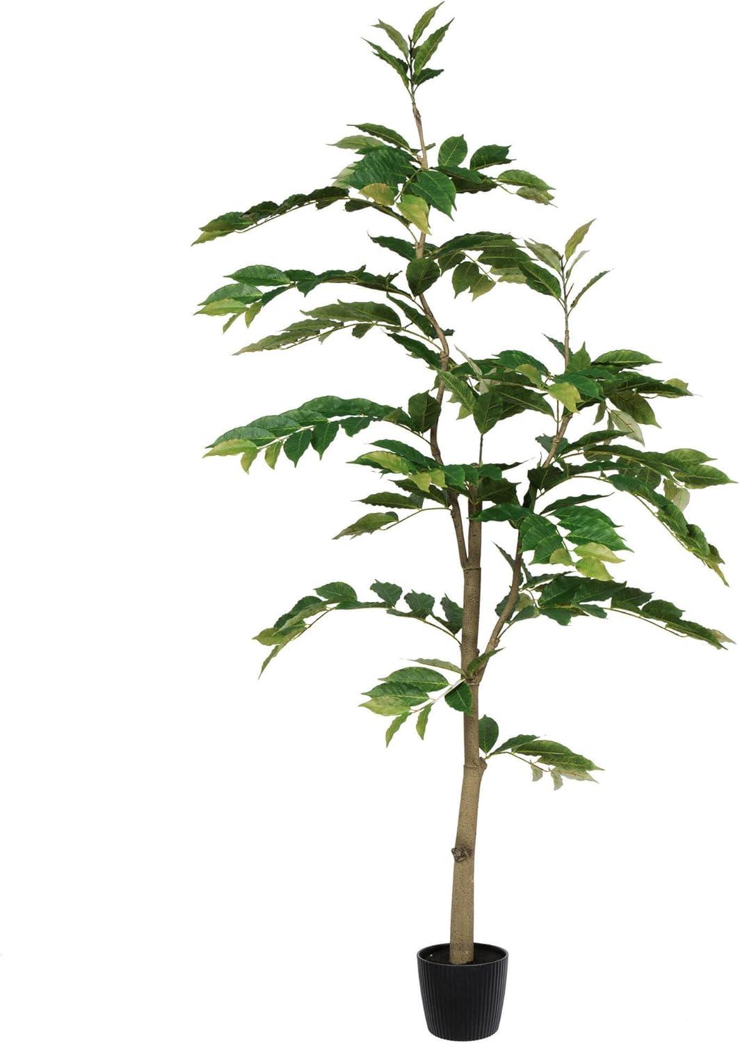 6 in. Potted N & Ina Tree with 284 Leave, Green